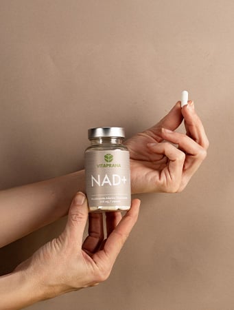 Nad+ 